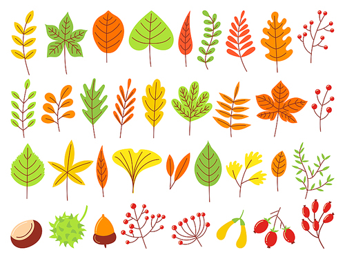 Colorful autumn leaves. Autumnal yellow leaf, forest nature orange leafage and september red leaves. Chestnut, dog rose and viburnum or foliage leaf. Flat isolated icons vector set