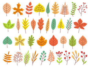 leaves. yellow autumnal garden leaf, red fall leaf and fallen dry leaves. botanical forest plants or september october tree foliage. flat isolated vector symbols set