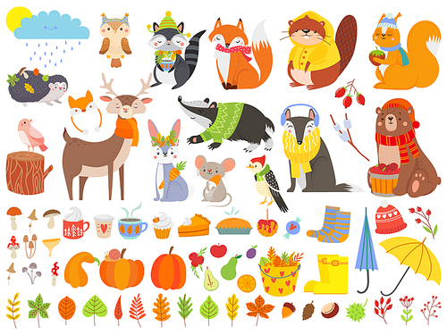 Autumn forest animals. Fall squirrel, funny bear and cute autumnal fox. Fallen leaves, deer bear raccoon animal in autumn clothes, pumpkin mushroom and cups. Cartoon isolated vector icons set