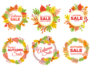 Autumn sale badges. Fall season sales, autumnal yellow leaves frame and september discount banners. Pumpkin retail sale logo, autumn leaf special price discounts badges. Isolated vector icons set