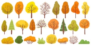 Yellow autumn trees. Colorful garden tree, autumnal garden bush and fall season tree leaves. Forest gold and green branches, autumn yellow and orange park trees. Isolated vector illustration icons set