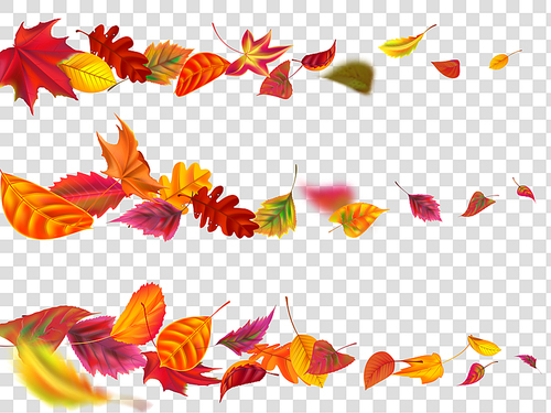 Flying autumn leaves. Fall leaf banner, yellow garden leafage fly. September and october foliage leaves fall swirl motion. Realistic isolated vector illustration set
