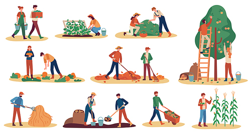 Autumn harvest. Farm workers gathering crops ripe vegetables, picking fruits and berries, remove leaves, season agriculture vector set. Man and woman digging potato, gathering pumpkin and corn
