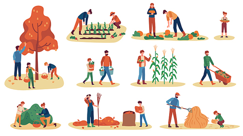 Autumn gathering. Men, women and children collecting fruits, vegetables and berries. Stacking hay, working harvest season vector set. Illustration collecting harvest autumn, agriculture harvesting