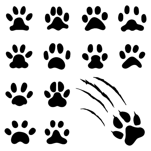 Pets paw foot. Cat paws s, kitten foots or dog foot . Pet rescue logo puppy foot marks animal shape wildlife mark dirty isolated vector symbol collection