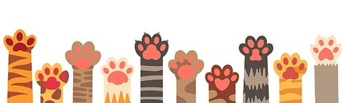 Colorful cat paws set. Cute feline claws with stripes and dots isolated on white . Domestic animal clutches, furry and clawed pets or kittens footprint in row vector illustration