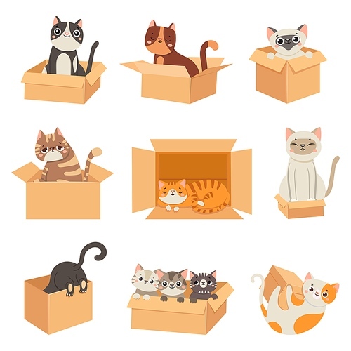 Cats in boxes. Cute stickers with cat sitting, sleeping and playing in cardboard box. Funny hiding kittens. Adopt homeless pet, vector set. Illustration animal kitten in box, feline cat pet