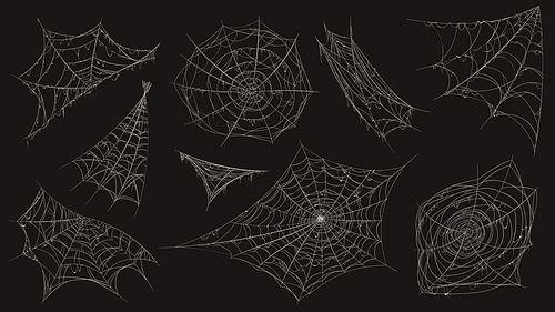 Spider web. Halloween cobweb spooky decoration. Corner with old dusty spiderweb hanging. Creepy decor spiders white sticky trap vector set. Halloween corner, spiderweb thread, sticky line