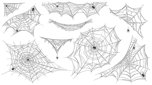 Spider web silhouette. Hanging cobweb with venom spiders for horror helloween decor. Spooky spiderweb element, net trap in corner vector set. Illustration trap silhouette sticky, spiders corner