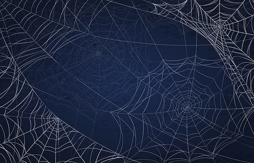 Spider web background for halloween. Spooky pattern with realistic cobwebs. Creepy holiday decoration, scary goth spiderweb vector texture. Illustration halloween and spooky pattern spiderweb