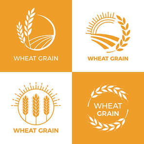 Baked wheat logo. Field wheats grain label, bake elements. Food baking insignia harvest barley logo, grain wheat field bread bakery food awards vintage vector illustration set