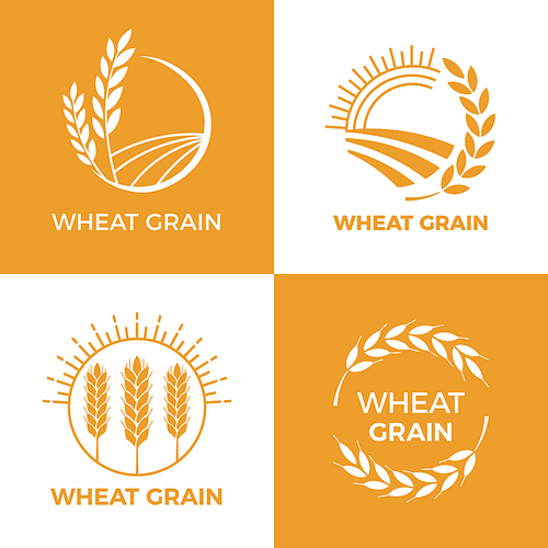 Baked wheat logo. Field wheats grain label, bake elements. Food baking insignia harvest barley logo, grain wheat field bread bakery food awards vintage vector illustration set