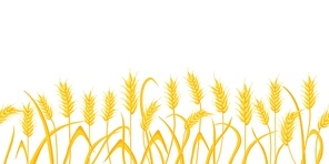Cartoon farm field background with golden wheat spikes. Agriculture cereal crop ears. Rural scene with grain harvest vector border pattern. Illustration of golden wheat grain, harvest food