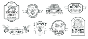 Honey farm badge. Beekeeping logo, retro bee badges and vintage hand drawn mead label. Natural honey bees sweets stamp, honey product tags. Vector illustration isolated symbols set