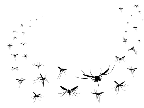 Flying mosquitoes silhouettes group. Flying insects swarm spreading diseases dangerous infection and viruses, black wave vector gnats. Mosquito insect silhouette isolated, gnat malaria illustration