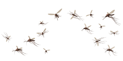 Flying mosquito insects. Gnat and pest, spreading viruses and diseases, gnats flock, repellent or spray promo poster vector concept. Malaria mosquito buzzing, infectious parasitic spreading