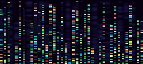 Genomic analysis visualization. Dna genomes sequencing, deoxyribonucleic acid genetic map and genome sequence analyse. Bioinformatics forensics data or dna radiographic testing vector concept
