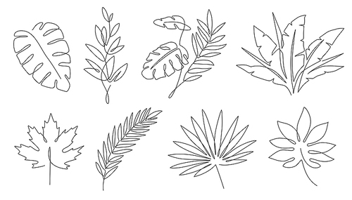 Tropical leaves. Palm tree and maple linear leaf. Tropic jungle and beach floral abstract elements continuous line exotic plant vector set. Summer leaf palm, jungle foliage and tropical illustration
