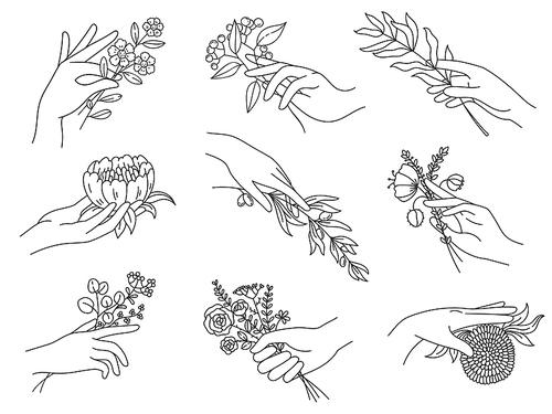 Hands holding flowers. Outline female hand with bouquets, olive branch, peony, meadow flower boho tattoos. Spa floral vector set. Blossom flower in female hand, botanical blooming illustration