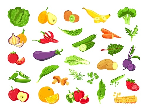 Vegetable and fruit. Fresh vegetarian food, veggies, salad, green, tropical fruits and berry. Healthy vegan farm vector set. Vegetarian agriculture, tomato and cucumber, pepper and garlic illustration