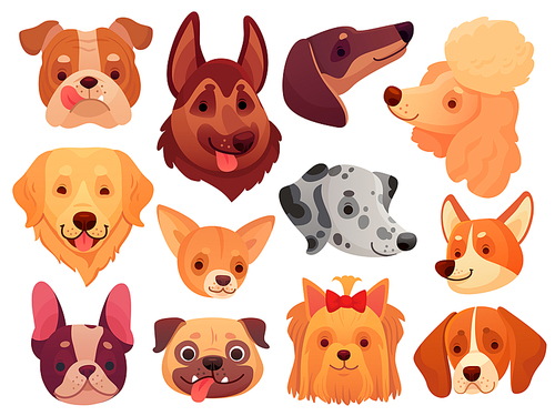 Cute dog face. Puppy pets, dogs animals breed and puppies heads. Funny retriever corgi poodle terrier and dalmatian. Domestic dog pedigree cartoon vector illustration isolated icons set
