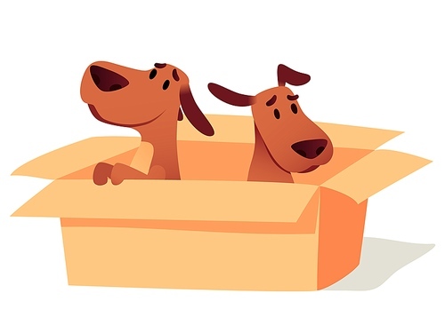 Dogs in cardboard box waiting for owner, adoption concept. Homeless cute puppies searching new home. Animals sitting in carton. Help sad pets to find friend cartoon vector illustration