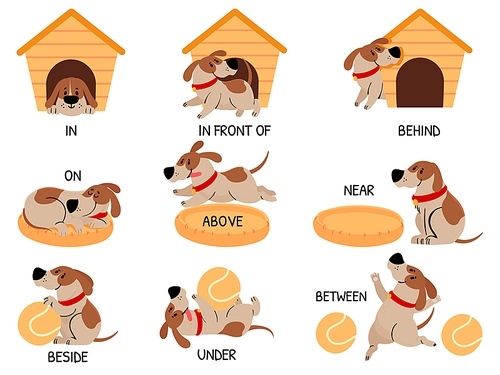 English prepositions with cute animal. Cartoon dog behind, above, near and under dog house, bowl. Learning words kids education vector set. Comic character with ball for learning visual material