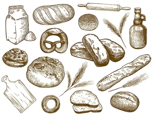 Hand drawn bakery. Freshly baked bread, wheat ears and baking flour. Sketch bakery ingredients vector illustration set. Collection of elegant monochrome vintage drawings of pastry products assortment.