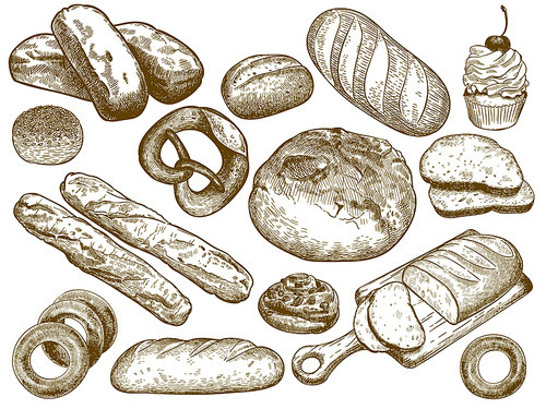 Hand drawn fresh bread. Sesame bun, pretzel and french loaf. Sketch bakery breads vector illustration set. Bundle of monochrome drawings of tasty homemade baked products in elegant engraving style.