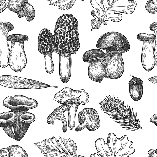 Leaves and mushrooms pattern. Hand drawn different autumn leaf, berries and mushrooms as morel and chanterelle, bolete and king trumpet vintage fall season sketch seamless vector texture.