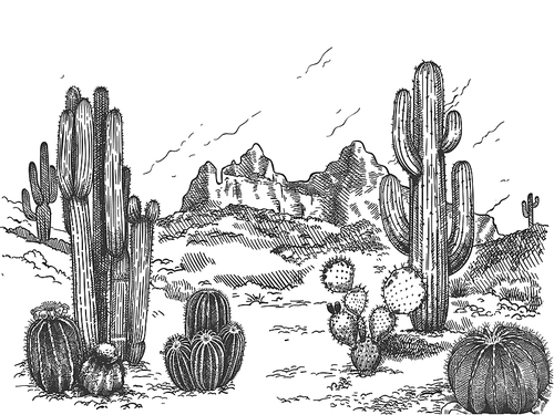 desert landscape. hand drawn mexican prairie with plants and blooming cactuses, prickly succulents nature wild west sketch vector . scenery with rock and mountain, environment