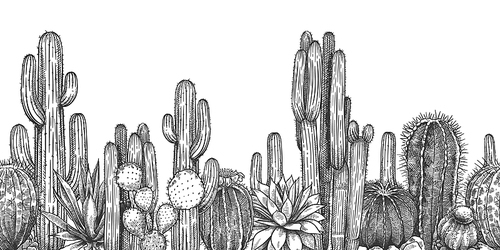 Hand drawn cactuses. Sketch cartoon succulent agave, saguaro and prickly leaved pear with . Desert or drought plants, botanical horizontal seamless pattern engraving vector illustration.