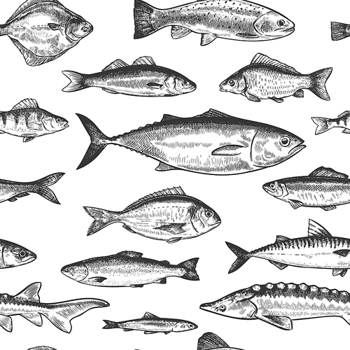 Fish seamless pattern. Hand drawn different sea and river fishes, marine underwater life monochrome  wallpaper sketch vector texture. Perch and anchovy, herring and mackerel, seabass
