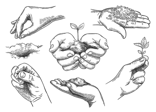 Hands with plant sprout. Farmer hand holding soil and planting seeds. Save nature, grow new trees. Agriculture and ecology sketch vector set. Environmental protection symbols isolated