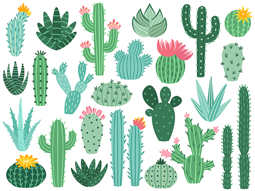 Mexican cactus and aloe. Desert spiny plant, mexico cacti flower and tropical home plants or arizona summer climate garden cactuses and succulent. Flora isolated vector icons collection
