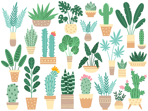 Home plants in pots. Nature houseplants, decoration potted houseplant and flower plant planting in pot or garden decorative flowerpot. Succulent, monstera ficus vector isolated icons illustration set