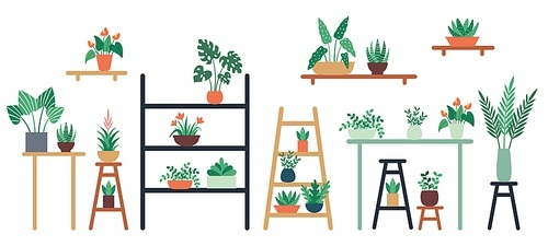 Houseplants standing on shelf, chair and table in ceramic pots. Home and office interior decoration with different green leaves and flowers of various size. Foliage vector illustration