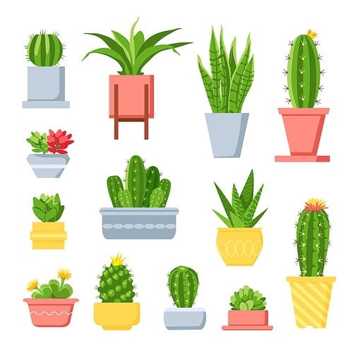 Cactus and succulents. Cute cartoon cacti in pots. Mexican exotic home plant with spines and flowers. Decorative garden succulent vector set. Illustration mexican houseplant, exotic flora in pot