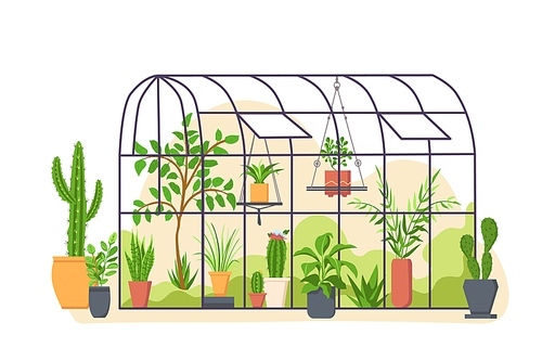 Garden greenhouse. Glass botanical orangery house with cactus and tropical cultivated plants in pot. Cartoon greenery nature vector concept. Botanical orangery, greenhouse for cultivation illustration