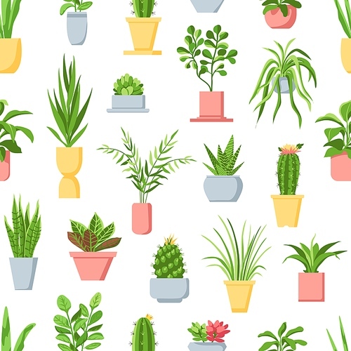 Pot plants seamless pattern. Houseplants, cactus and succulents, garden in pots home interior decor. Scandinavian style floral vector . Illustration houseplant cactus and succulent