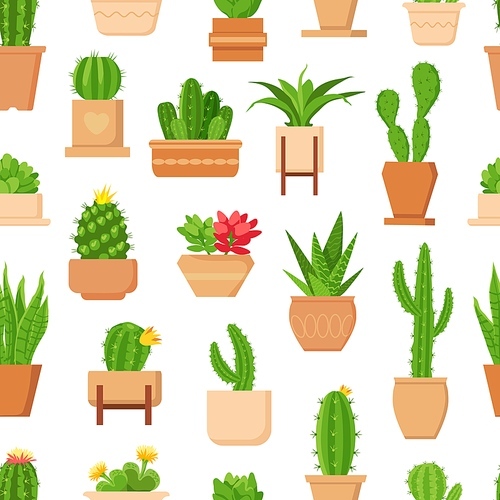 Cactus seamless pattern. Tropical plant, succulent and cute cacti with flower in pot. Trendy floral home plants decor vector wallpaper . Illustration cactus pattern, cacti and flower