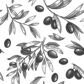 Seamless black olive pattern. Greek olives on branches with leaves, hand drawn sketch vector illustration. Greek olive twig, floral decoration fresh