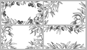 Engraved olive branches frames. Black olives on branch with leaves, greek spa frame and hand drawn sketch with natural products. Organic plant with foliage vector illustration set.