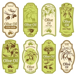Olive oil label. Premium extra virgin oils, black olives on branches with leaves and hand drawn olive tree sketch vector illustration set. Olive virgin oil, organic emblem collection