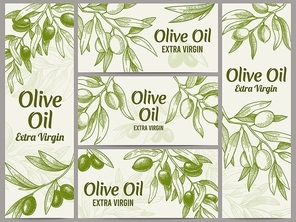 Olive oil banner. Organic oils labels, green olive branches and extra virgin vector label vector illustration set. Engraved plant with leaves for packaging template, sketch branches