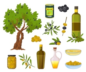 Cartoon olive products. Black and green olives in jars, healthy virgin oil in bottles and bowl. Olive tree and branch with leaves vector set. Illustration olive product, green plant