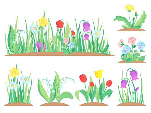 Spring garden flowers. Early flower, colorful gardens plants and flowering plant gardening. Flowers gardener blossom landscape. Flat vector isolated icons illustration set