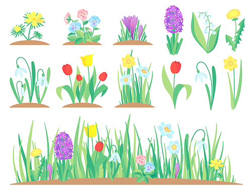 Spring flowers. Garden tulip flower, early floral plants and tulips plant gardening. Herbal green flowers bloom, decorative tulip and hyacinths. Isolated vector symbols set