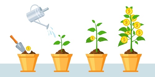 Money tree in pot. Finance profit growth infographic with stages of plant grow coins. Economy business investment or revenue vector concept. Income strategy, increasing and saving earning