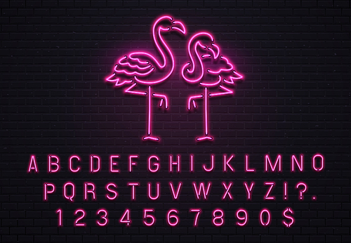 Flamingo neon sign. Pink 80s font. Tropical flamingos electric glow bar billboard logo with fluorescent purple light bulb letters text and numbers symbols vintage decoration vector illustration